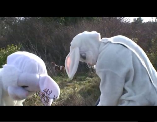 LOL! How rabbits take revenge on hunters - 20100308