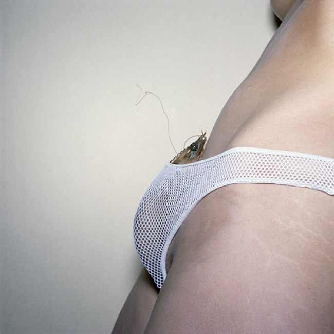 Unusual erotic art of Dutch photographer Cornelie Tollens - 09