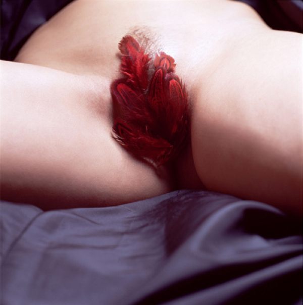 Unusual erotic art of Dutch photographer Cornelie Tollens - 19
