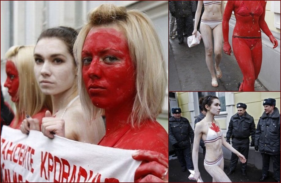 PETA demonstration at the walls of Canadian Embassy in Moscow - 11