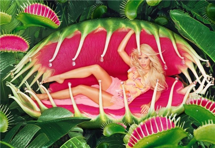 Celebrities in the works of great photographer David Lachapelle - 68