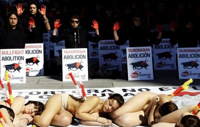 Naked people against bullfighting - 04