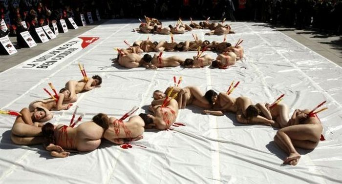 Naked people against bullfighting - 06