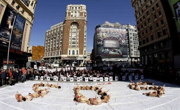 Naked people against bullfighting - 07