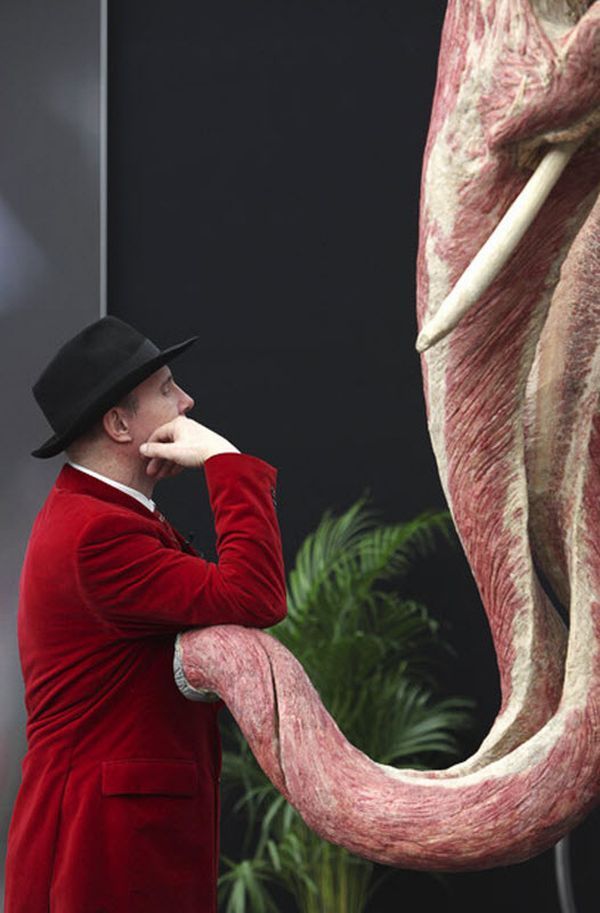 Anatomical safari, an unusual exhibition of Dr. Gunther von Hagens - 03