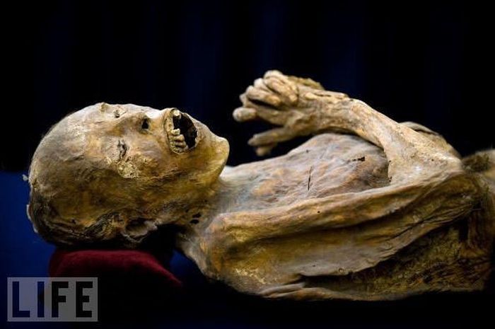 These photos of mummies give shivers - 11
