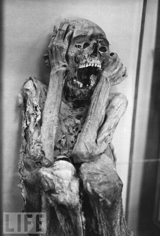 These photos of mummies give shivers - 21