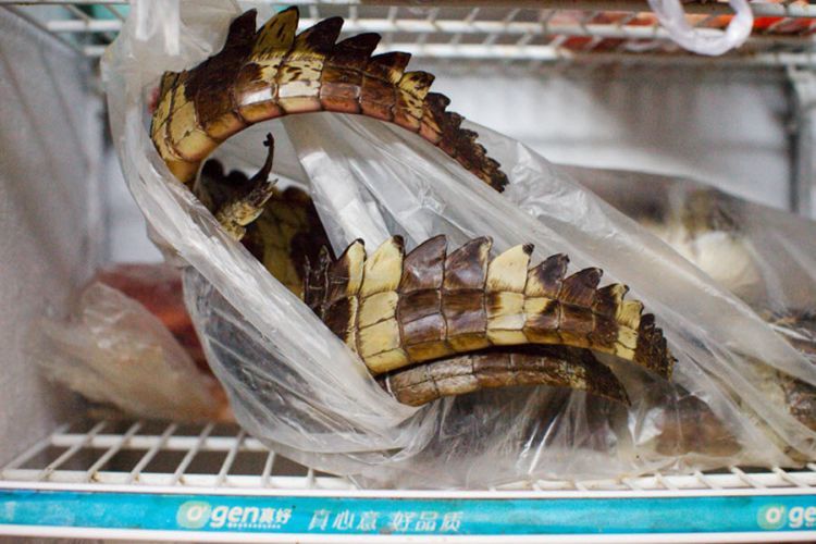 Exotic animals in Asian markets - 09