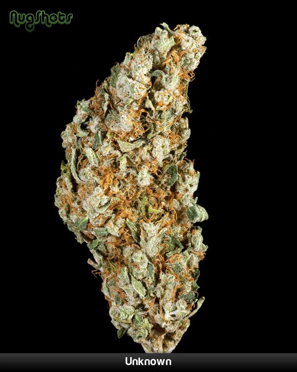 Elite marijuana varieties - 05