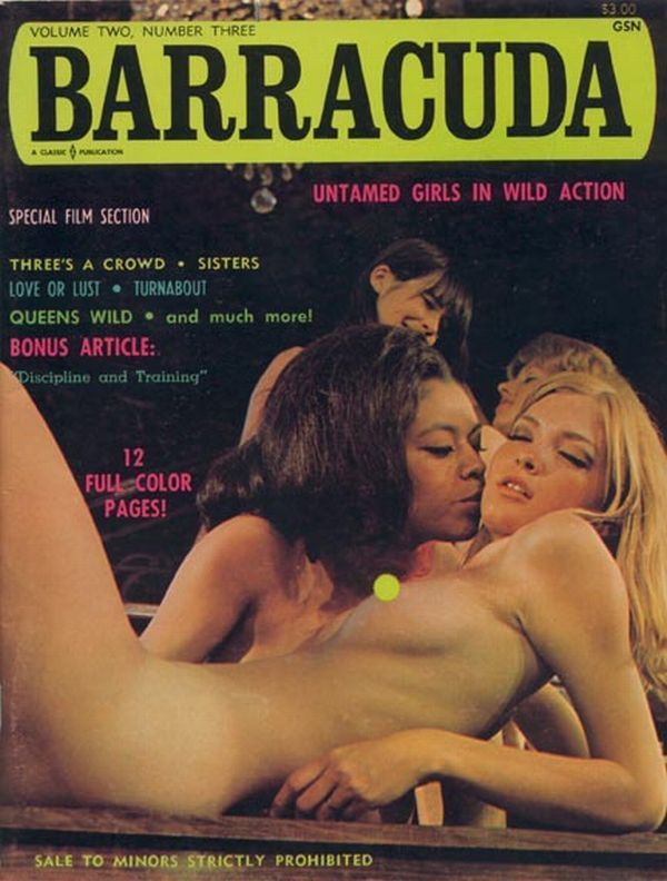 Covers of erotic magazines. The way they looked before - 15