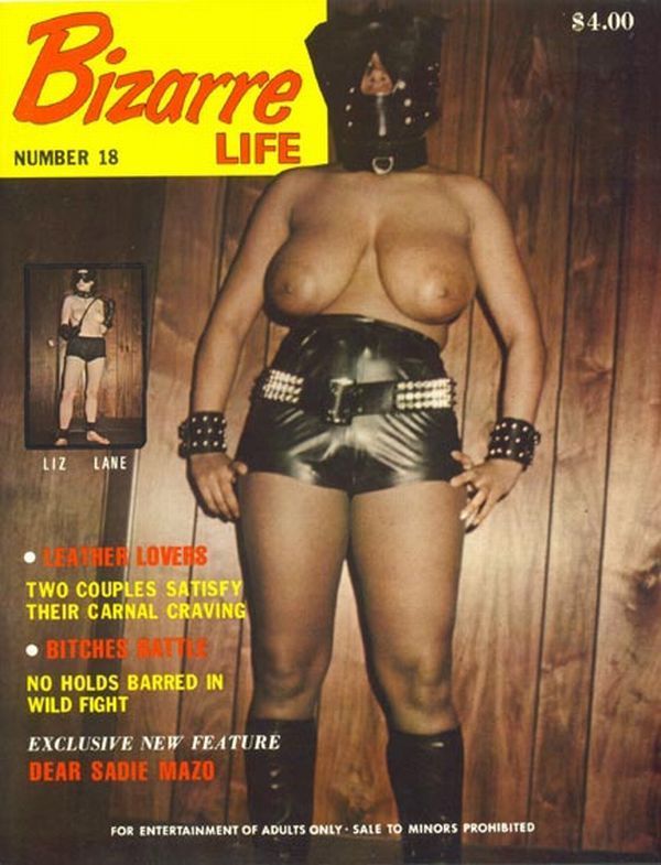 Covers of erotic magazines. The way they looked before - 26