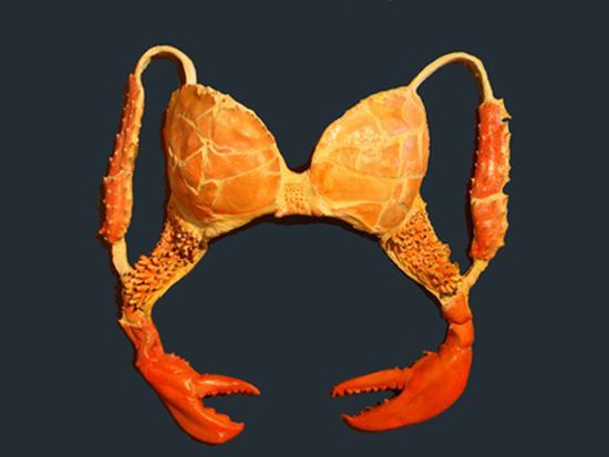 The most unusual bras - 05