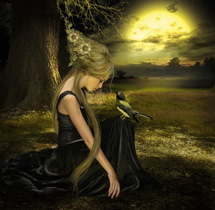 Beautiful pictures in the fantasy style from Elena Dudina - 11