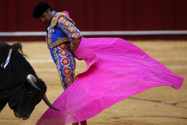 Bullfighting, a dangerous fight between a bull and a man - 04