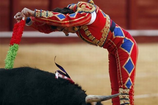 Bullfighting, a dangerous fight between a bull and a man - 07