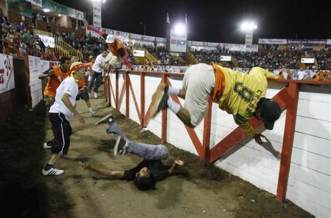 Bullfighting, a dangerous fight between a bull and a man - 09