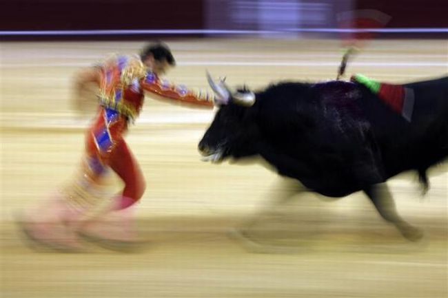 Bullfighting, a dangerous fight between a bull and a man - 11