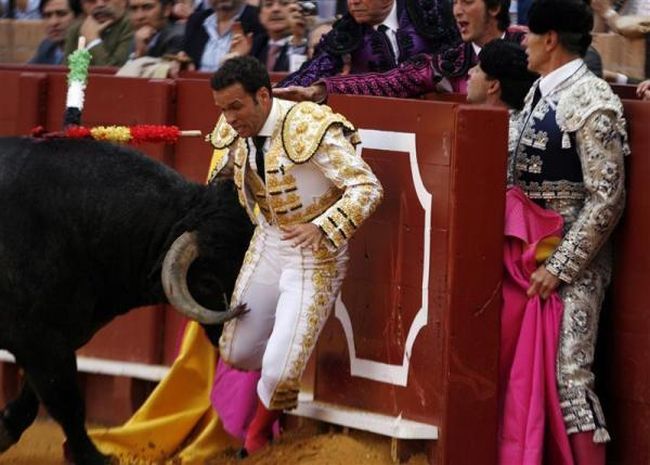 Bullfighting, a dangerous fight between a bull and a man - 12