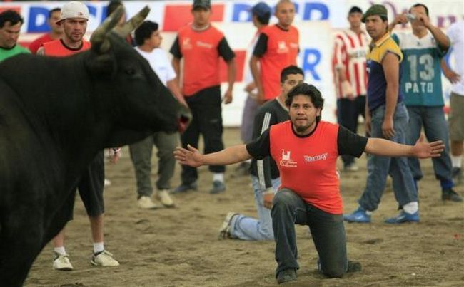 Bullfighting, a dangerous fight between a bull and a man - 14