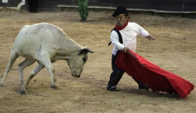 Bullfighting, a dangerous fight between a bull and a man - 15