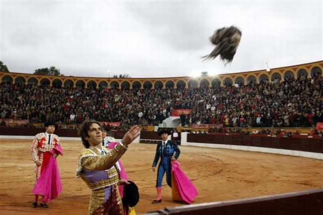 Bullfighting, a dangerous fight between a bull and a man - 16