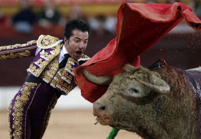 Bullfighting, a dangerous fight between a bull and a man - 20