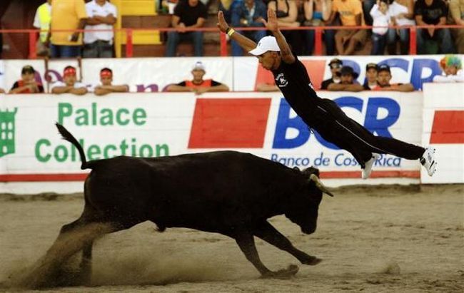 Bullfighting, a dangerous fight between a bull and a man - 21