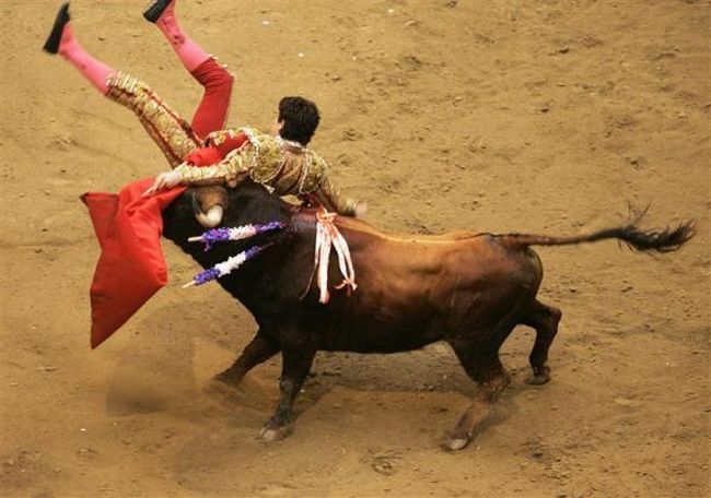 Bullfighting, a dangerous fight between a bull and a man - 23