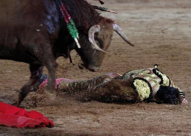 Bullfighting, a dangerous fight between a bull and a man - 24