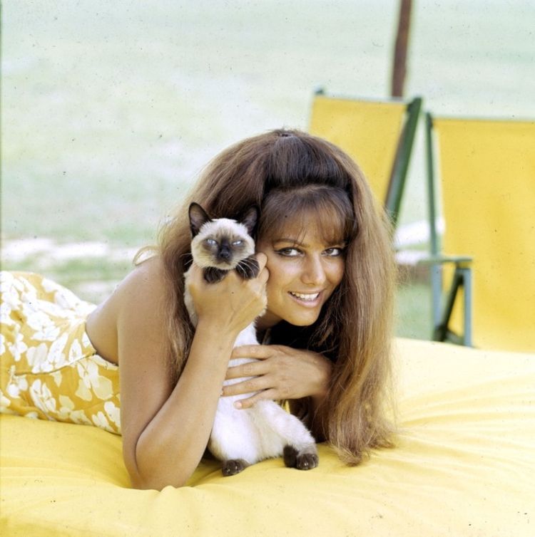 Italian actress Claudia Cardinale, a sexy babe from the past - 44