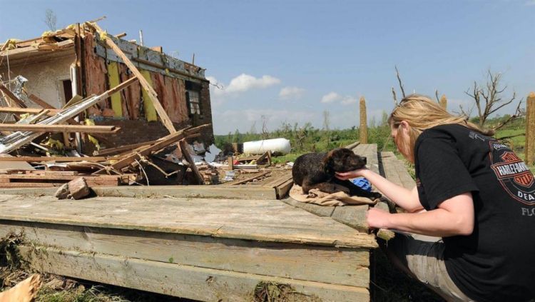 The devastating tornadoes in southern U.S. - 09