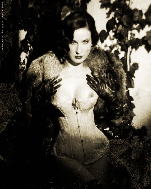 Big collection of erotic photos of burlesque queen Dita von Teese - 09