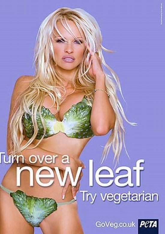 A selection of the sexiest advertising from PETA - 03