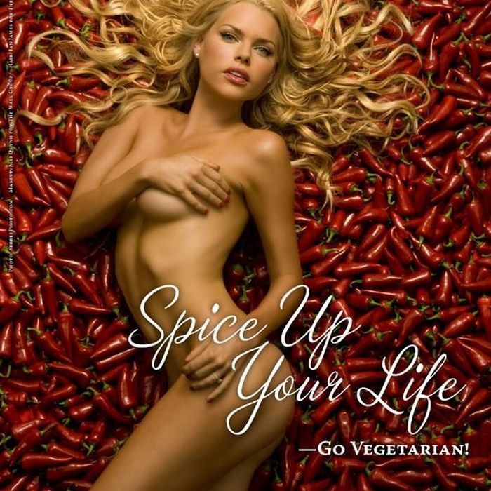 A selection of the sexiest advertising from PETA - 19