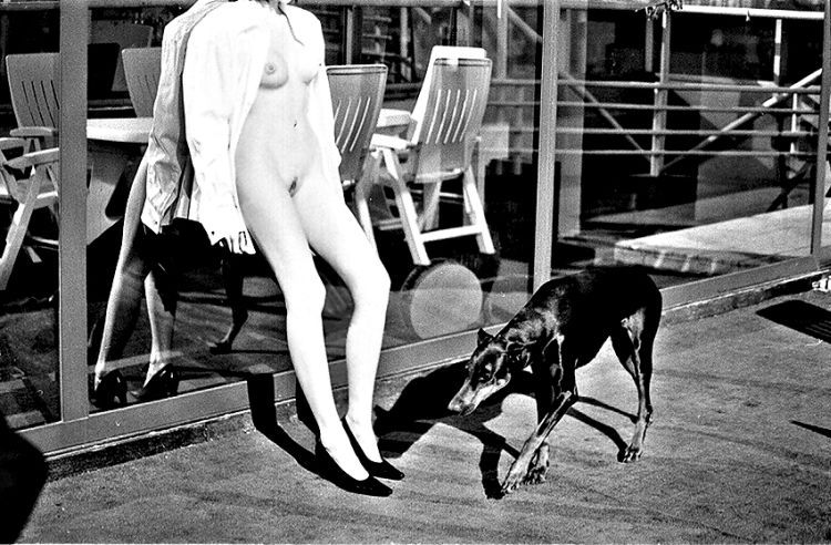 Naked ladies with dogs - 17