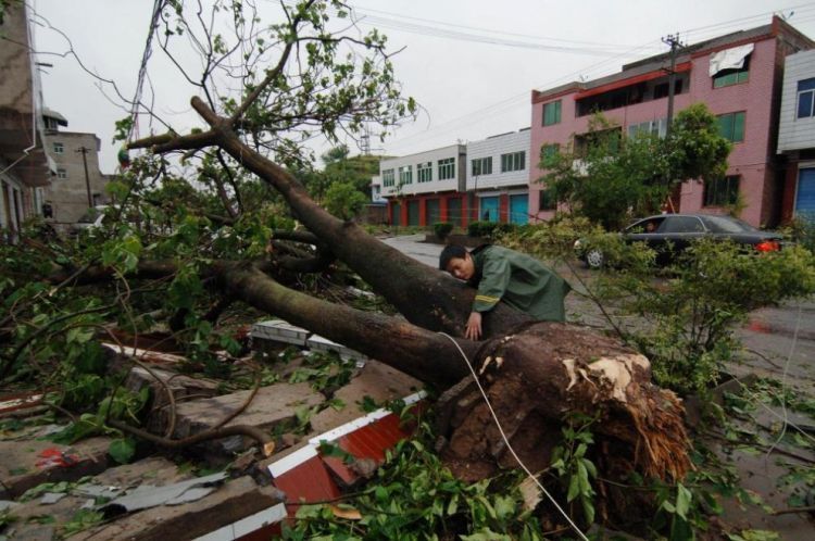 A powerful hurricane hit China - 06