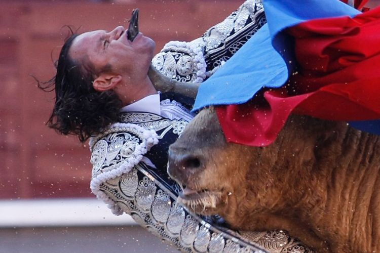 This bullfight could’ve been the last for this torero - 01