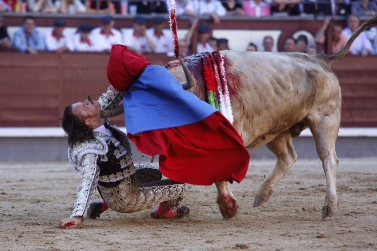 This bullfight could’ve been the last for this torero - 02