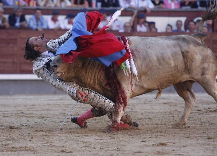 This bullfight could’ve been the last for this torero - 03