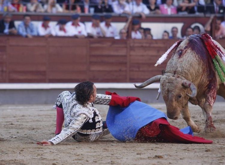 This bullfight could’ve been the last for this torero - 04