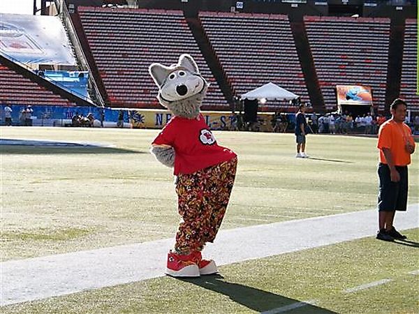 Sports mascots who love to have some fun - 12