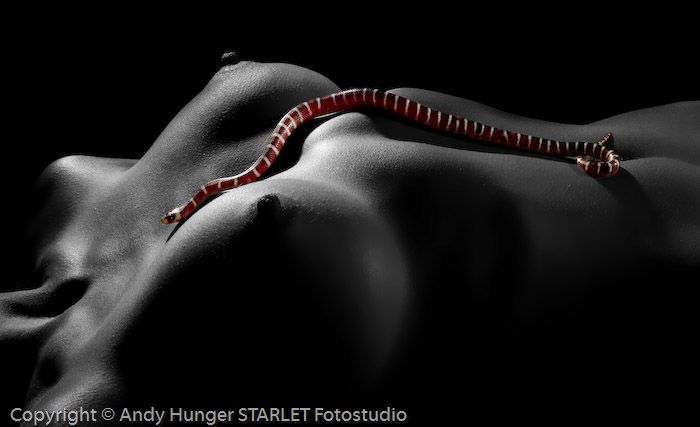 Black and white erotica of photographer Andy Hunger - 40