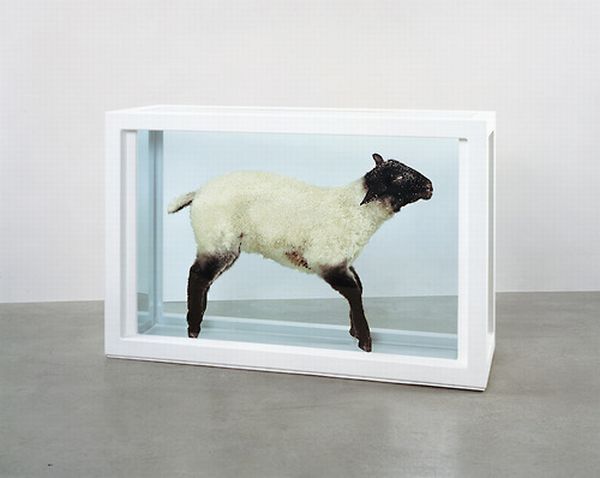 Taxidermy and its objects - 47