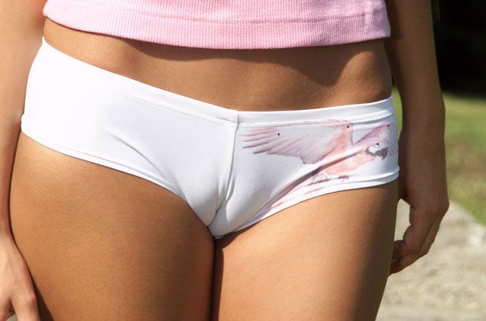 Fresh collection of cameltoe - 11