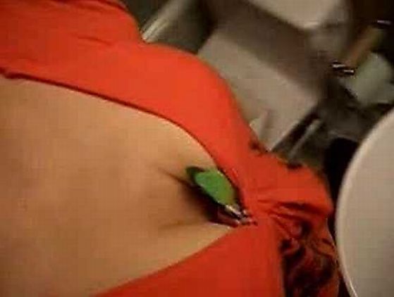 Cleavage - the best pocket in the world - 10