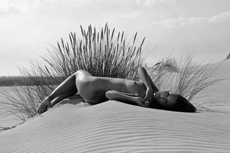 Erotic photographs by Alfred Weissenegger - 30
