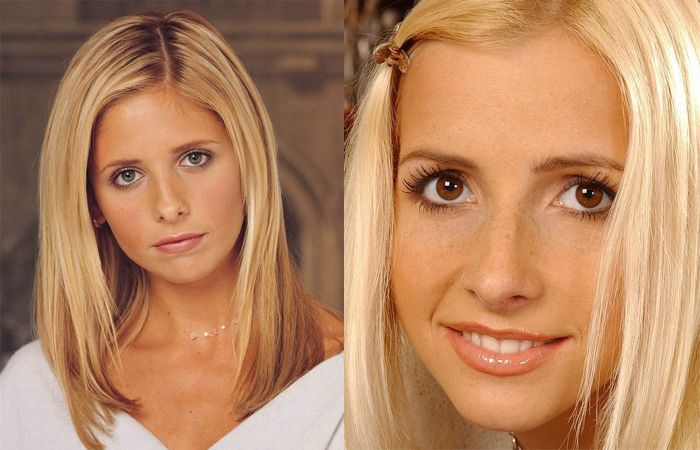 Porn stars and celebrities that look alike - 11