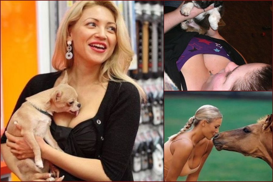 It looks like these animals really like breasts - 18