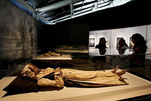 Mummies of the world at an exhibition in a research center in Los Angeles - 08