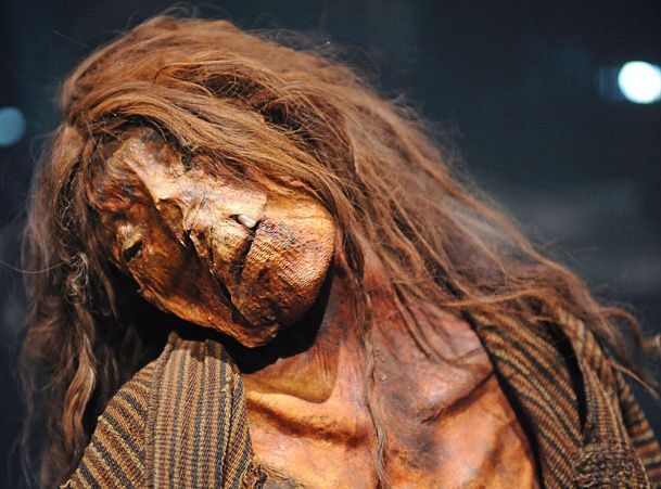 Mummies of the world at an exhibition in a research center in Los Angeles - 10